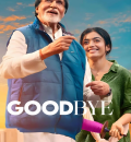 Goodbye (2022) Bollywood Hindi Movie HD ESub